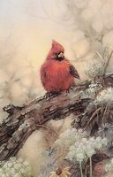 Donna K. Cliffe
